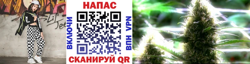 Сколько стоит Томмот Канабис Меф АМФ ГАШИШ Псилоцибиновые грибы Alpha PVP МЕТАДОН Кокаин