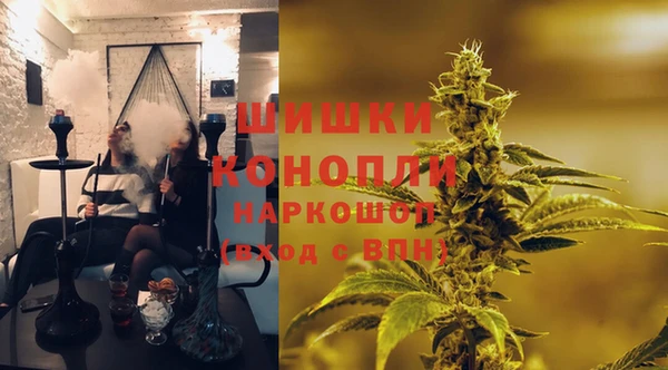 прущие крисы Алзамай